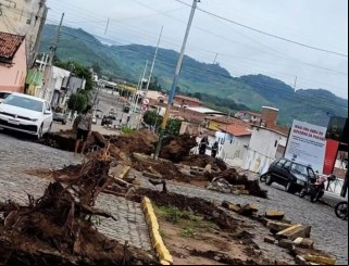 Internautas criticam prefeitura por derrubar árvores de canteiros em Belém, PB